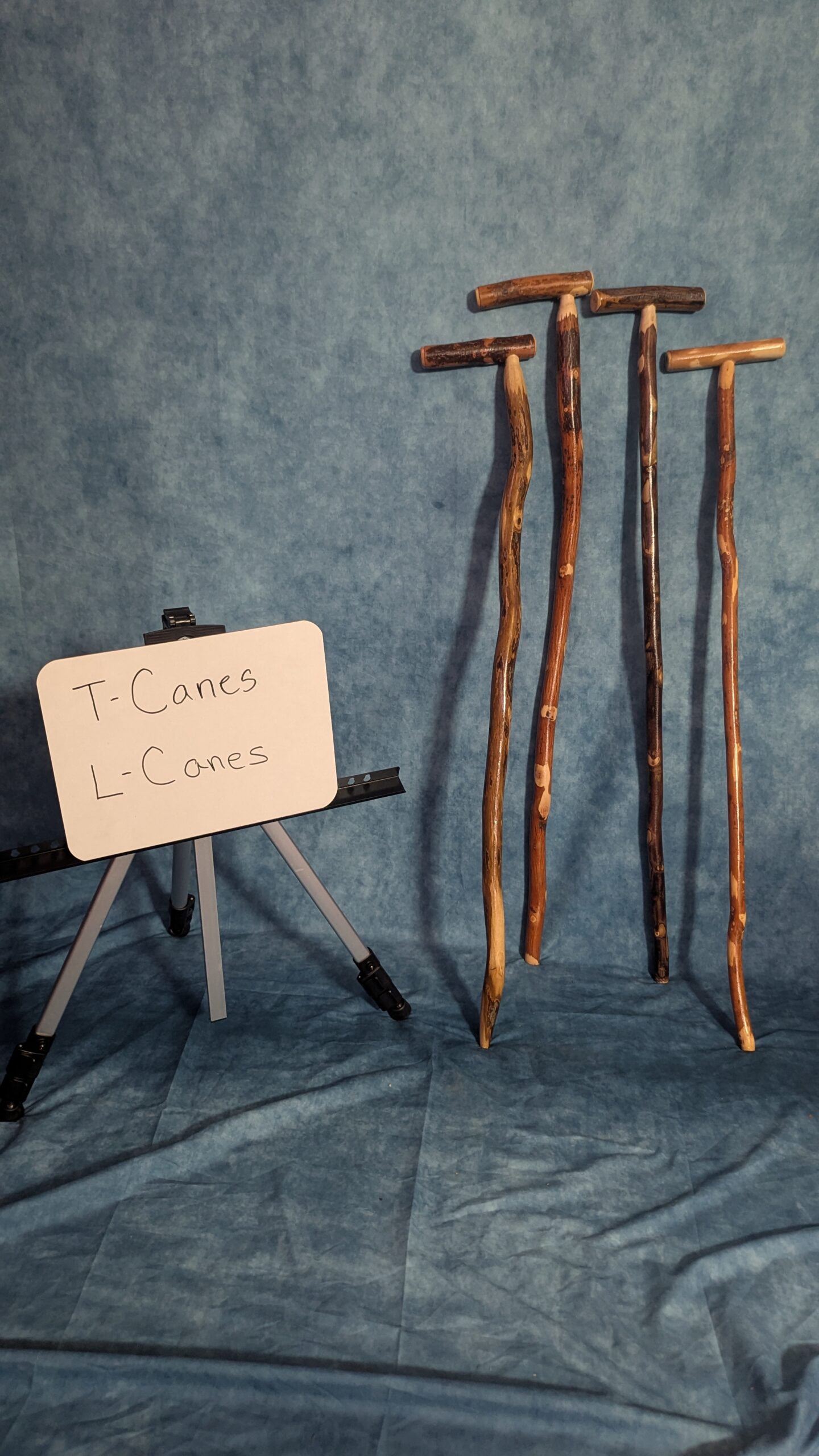 T-Canes and and L-Canes